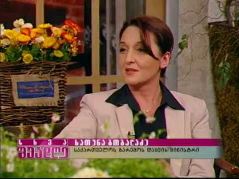 ქარსაცავი ზონები, ტყის მასივები და მათი მოვლის პროგრამა