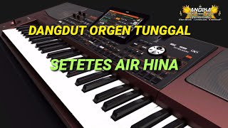 DANGDUT ORGEN TUNGGAL || SETETES AIR HINA || CIPT : H.RHOMA IRAMA