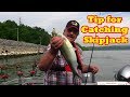 A trick I use to catch skipjack when they are slow to bite