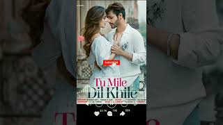 Tu Mile Dil Khile | Full Audio Song | Stebin Ben | Asees Kaur | Larissa B | Lijo G-Dj Chetas