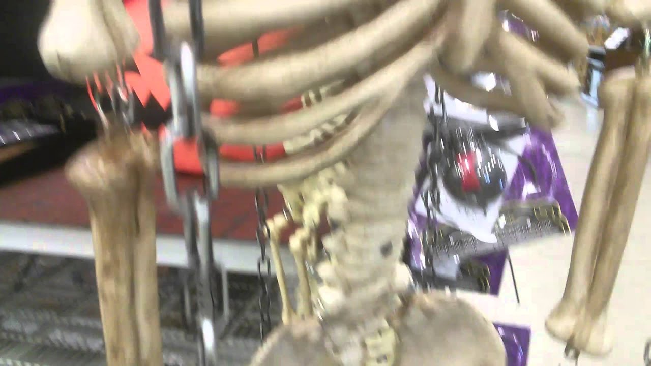 Lowes Halloween 2014 gemmy caged skeleton YouTube