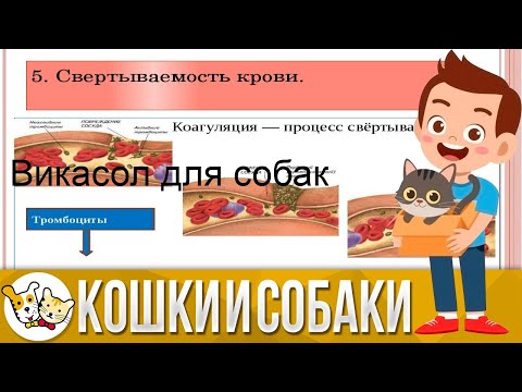LiveKernelEvent — что за проблема и как исправить?