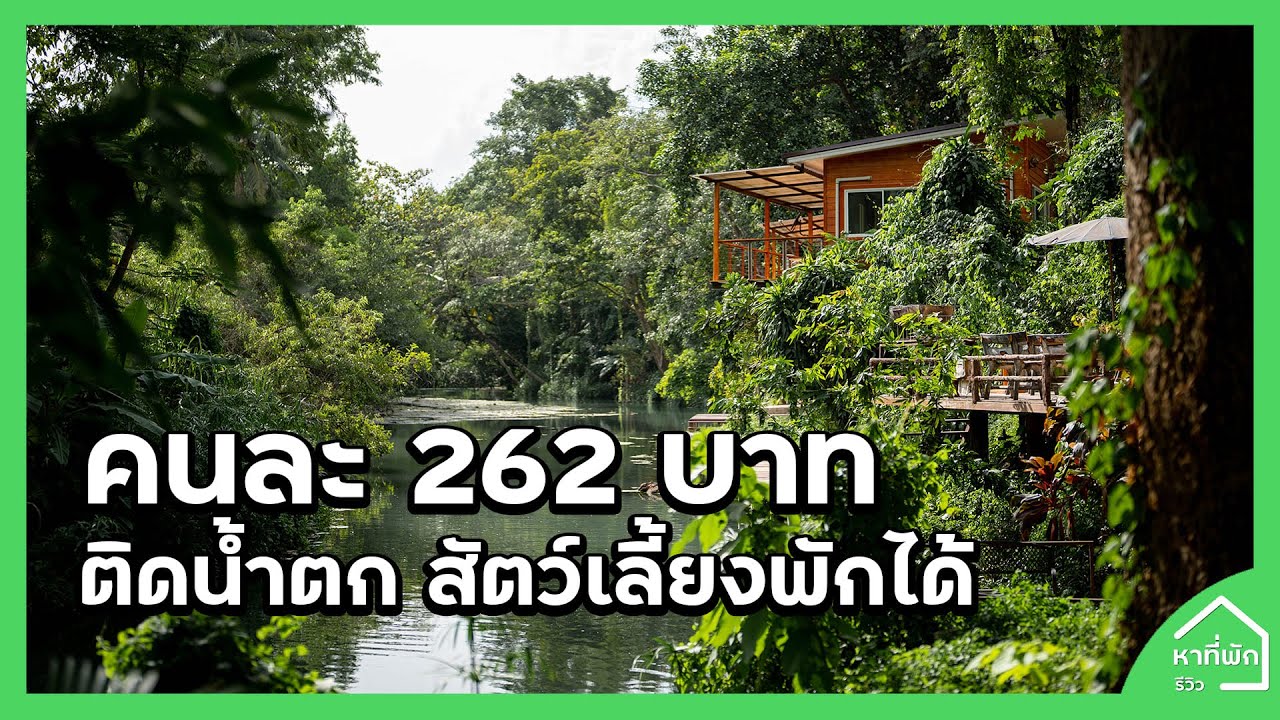 ที่พักสระบุรี ติดน้ำตก คนละ 262 บาท ฟรีอาหารเช้า สัตว์เลี้ยงเข้าพักได้ -  YouTube