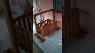 Ayunan Tmpt Tdr Bayi