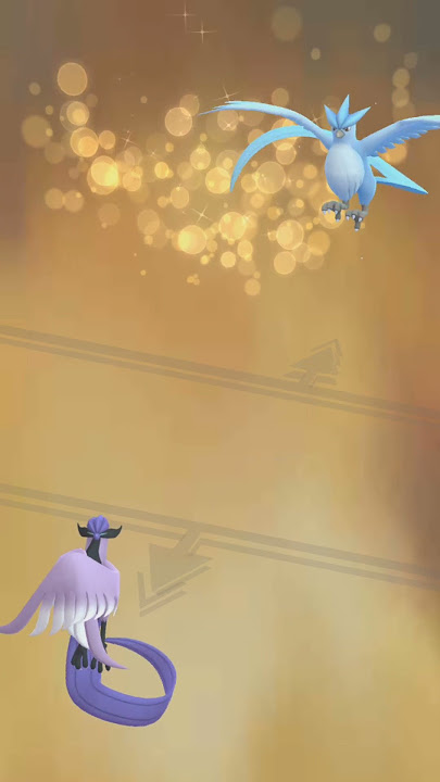 Gen 8] Shiny Articuno in the Max Lairs! Might be my shortest legendary hunt  I was actively hunting for! Two out of the tree birds down, one to go! :  r/ShinyPokemon