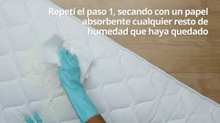 Cómo limpiar orina de colchón | Cleanipedia