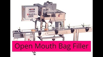 Open Mouth Bag Filler | Weigh Right BDC Net Weigher