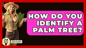 How Do You Identify A Palm Tree? - The Plant Enthusiast