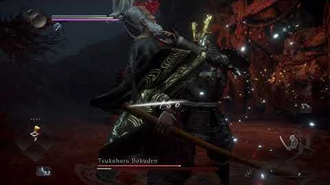 Nioh 2: Fists/Claws Basic Showcase, but vs Human boss