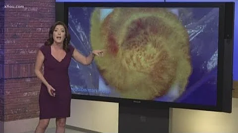 Texas prosecutors: don't try to glitter bomb porch pirates