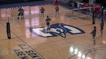 AVCA Video Tip of the Week: Dividing the Court in Serve Receive