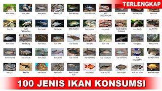 100 MACAM IKAN KONSUMSI, NAMA NAMA IKAN