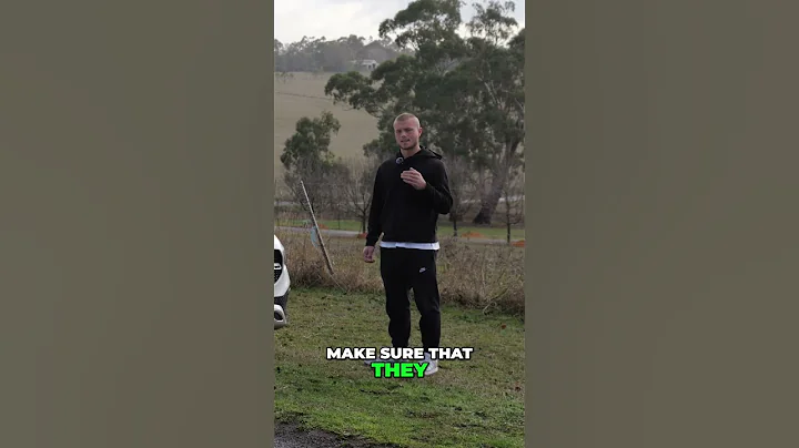 German Cars vs. Chinese Brands: Future of Luxury? #shorts