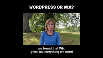 Wix versus WordPress – Which website platform is right for your business?