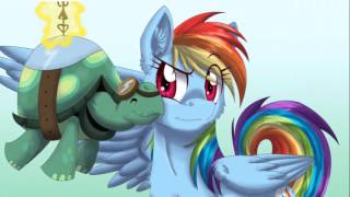 Mlpfim- Rainbow Dash And Tank Tribute