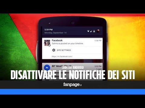 Video: Come segnalare un post di Facebook