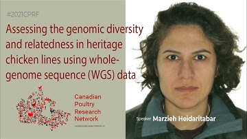 Genomic diversity and relatedness in heritage chicken lines using whole-genome sequence data