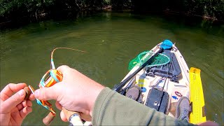 Kayak Fishing Youghiogheny River | MULTISPECIES | TROUT | MUSKY | BASS | MUSKIE | DRUM |