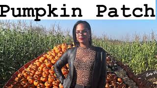 Pumpkin Patch in Maple Ridge