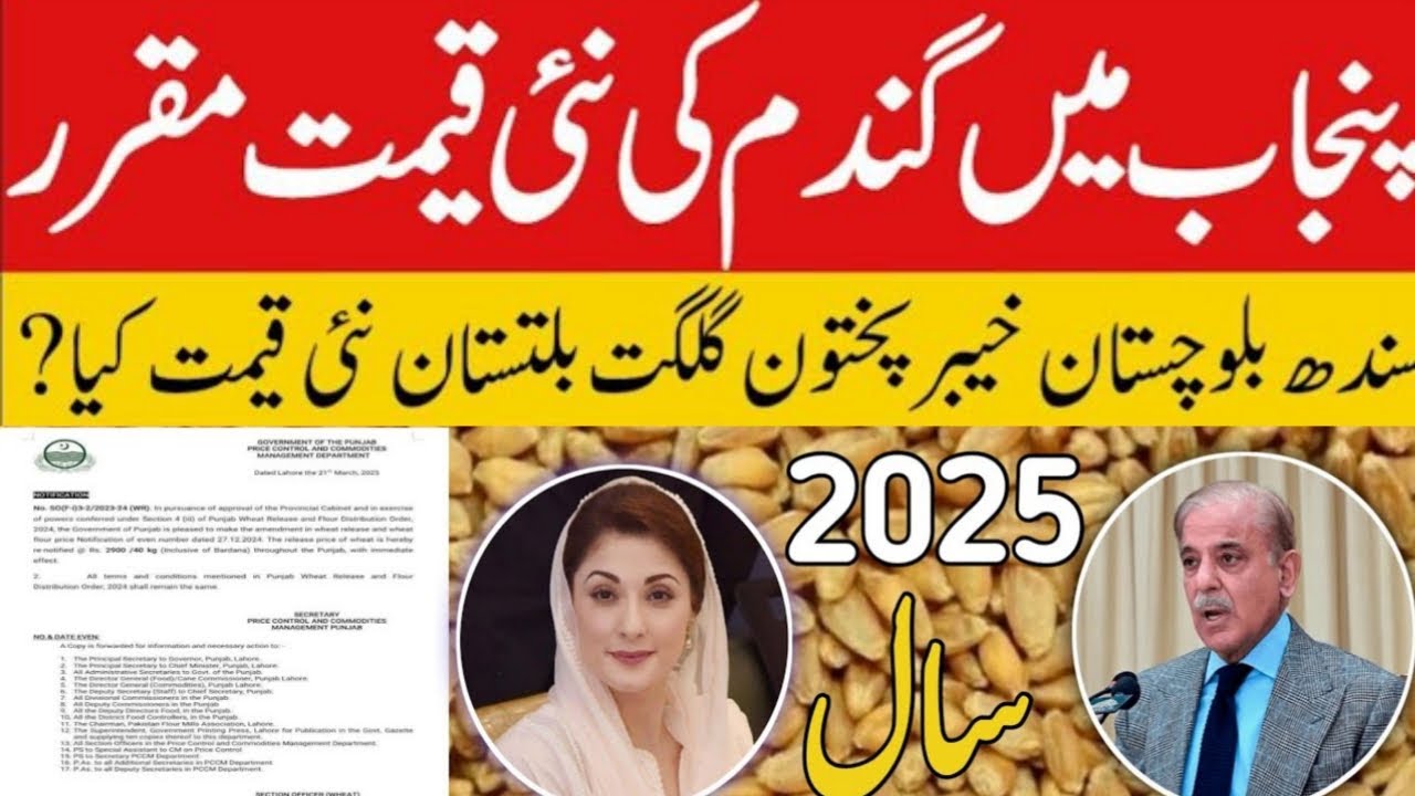 Today Wheat price in punjab | گندم کا ریٹ 2025 | wheat price 2025 in ...
