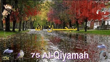 75 Al Qiyamah سورة القيامة الشيخ مشاري راشد العفاسي