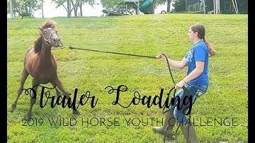 2019 WHYC | Trailer Loading for the First Time