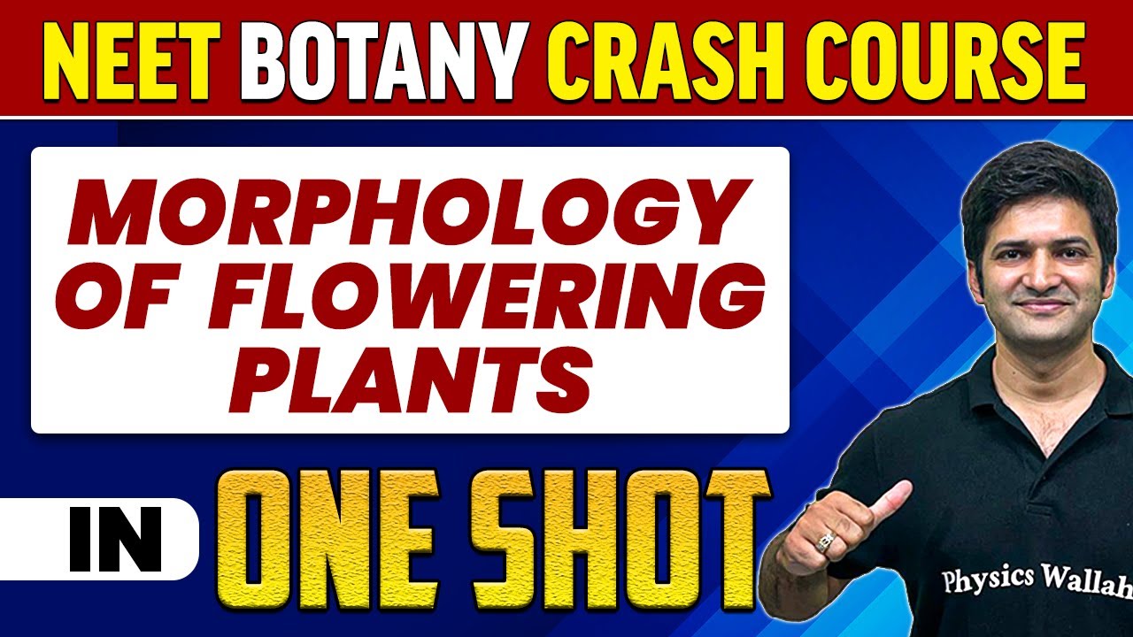 MORPHOLOGY OF FLOWERING PLANTS in 1 Shot : All Concepts, Tricks & PYQs ...