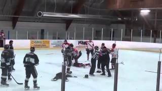 Hockey ref punches player, trainer punches ref