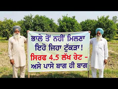 4.50 ਲੱਖ 'ਚ ਬਾਗਾਂ ਵਾਲੀ ਜ਼ਮੀਨ! ਮਿੱਠਾ ਪਾਣੀ ਤੇ ਪੱਧਰ ਵਾਹਣ | Cheap Agriculture Land for Sale