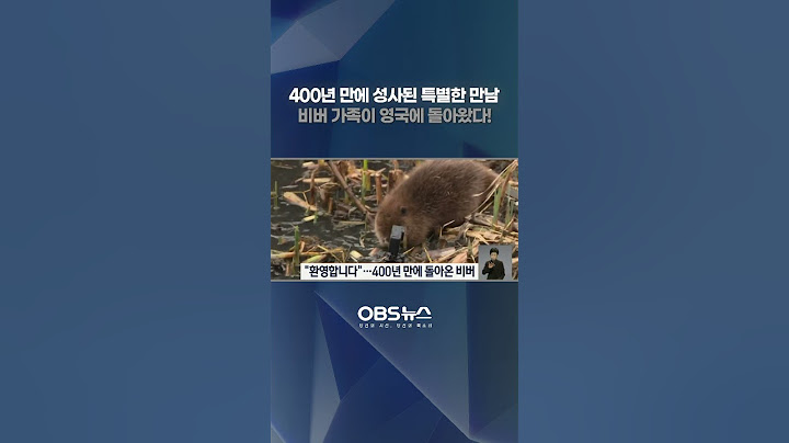400년 만에 성사된 특별한 만남.. 비버 가족이 영국에 돌아왔다! #비버 #영국 #400년