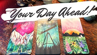 The Next 24 Hours From When You See This 🔮 | Pick a Card Tarot Reading | Pendulum & Charms