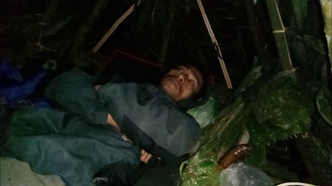 Survive alone by relying on forest food, heavy rain with simple