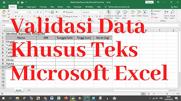 Validasi Data Khusus Teks Microsoft Excel
