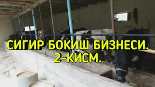 СИГИР БОКИШ БИЗНЕСИ 2