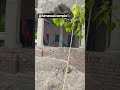 Temple Travel India Photography Travelphotography Love Song Haryanvi Love Haryanvisong Temple Travel India Photography Travelphotography Love Song Haryanvi Love Haryanvisong
