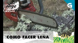 Como picar a leña