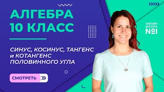 Синус, косинус, тангенс и котангенс половинного угла. Видеоурок 25. Алгебра 10 класс