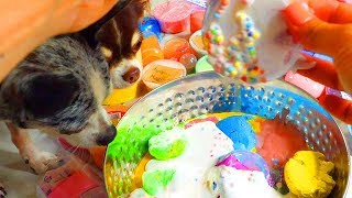 видео: ПОСЛЕДНИЙ ДЕНЬ МИЛЛИОНА СЛАЙМОВ! ПИТОМЦЫ ПРОТИВ АНТИСТРЕСС РАСПАКОВКА ЛИЗУНОВ картинка: ПОСЛЕДНИЙ ДЕНЬ МИЛЛИОНА СЛАЙМОВ! ПИТОМЦЫ ПРОТИВ АНТИСТРЕСС РАСПАКОВКА ЛИЗУНОВ