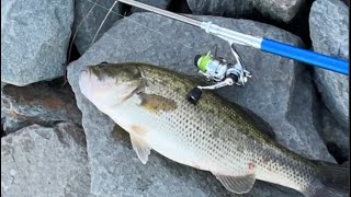Amazon micro pen fishing rod challenge/review Stockton bass fishing