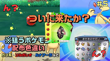 配布ポケモン 配布ポケモン
