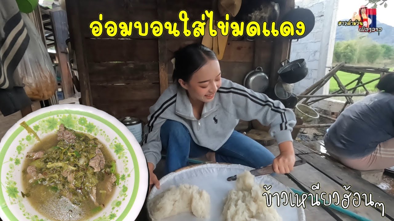 วันนี้ไปแหย่ไข่มดแดง ทำเมนู อ่อมบอนใส่ไข่มดแดง แชบๆ /กินกลับข้าวเหนียวฮ้อนๆ... 