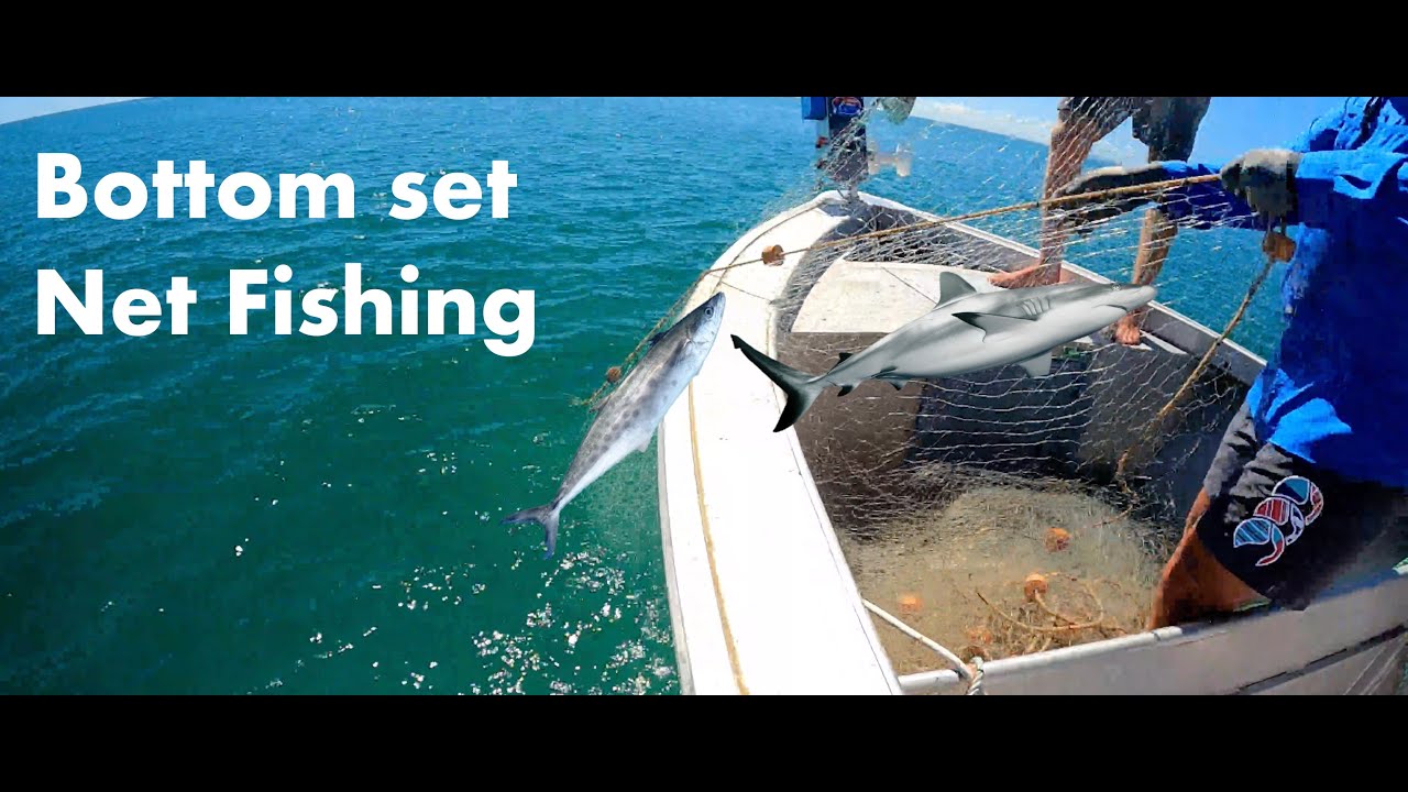 bottom set net fishing LBW Collapsible with Telescoping Handle, Folding Kayak Net for Freshwater or Saltwater, Trout Catfish Bass Rubber Landing Net : Sports & Outdoors Home - Beckman Fishing Nets