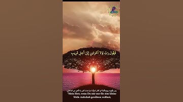 Surah Al Munafiqoon 9 11 سوره المنافقون