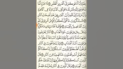 سورة غافر من آية ٤١ حتى سورة فصلت آية ٨ !!!