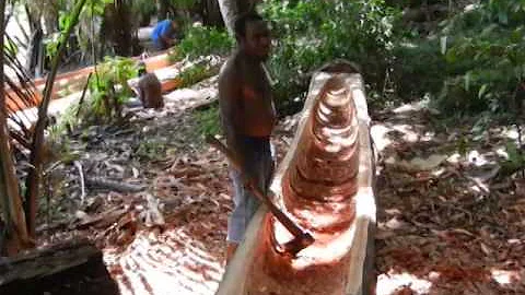 Dugout Canoe Making in Moian 1 Village, Western Province, PNG
