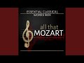 Miniature de la vidéo de la chanson Symphony No. 39 In E-Flat, K. 543: I. Adagio - Allegro