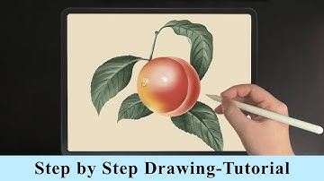 Peach Fruit Drawing Tutorial - Step by Step iPad Procreate Drawing