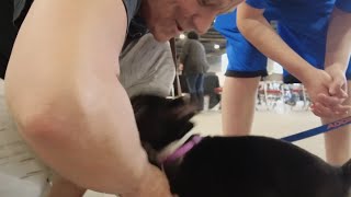 LMAS, Kentucky Humane Society holds event promoting adoptions in Louisville