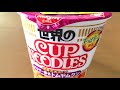 【日清食品】世界のカップヌードル パクチー香るトムヤムクン CUP NOODLES Tom yum goong flavor