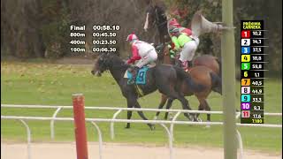 Vidéo de la course PMU PRIX UN DISPARO